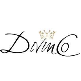 Logo Divinco