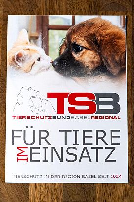 Gestaltung Flyer für den Tierschutzbund Basel Regional